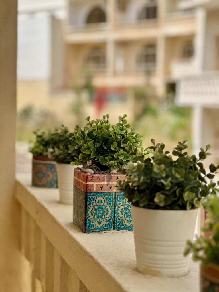 公寓 Ritz Gozo Marsalforn